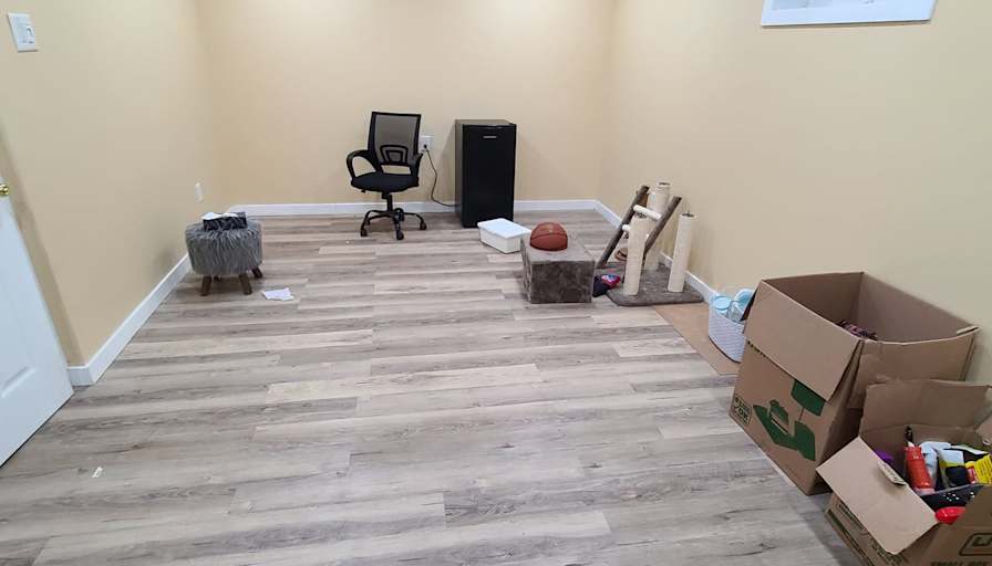 yogesh shekhawat's room