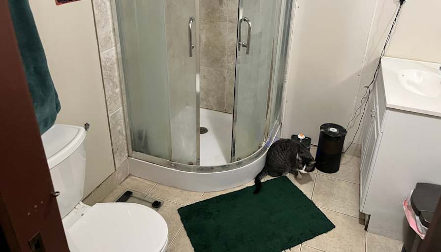 Austin Murphy's room