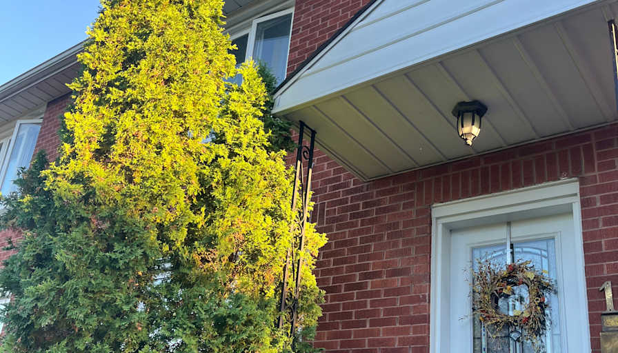 Photo of Sarah's room