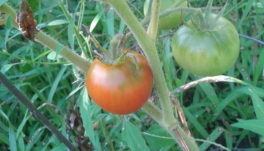 Photo of Laurence's room