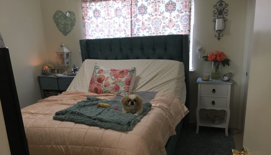 Photo of Susan's room
