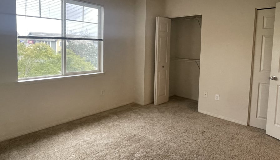 Photo of Meagan's room