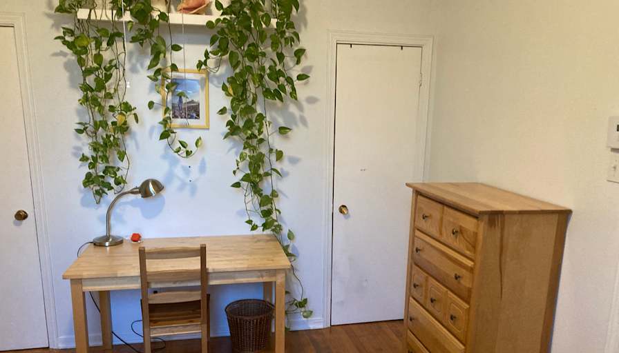 Andrew Chappell's room