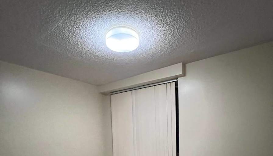 Seyed Alireza Hosseini's room