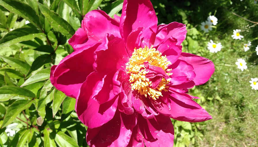 Photo of Hazel's room