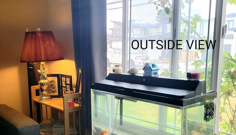 Veronica Choudhary's room