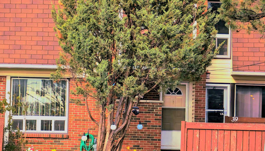 Sayantani Dhar's room