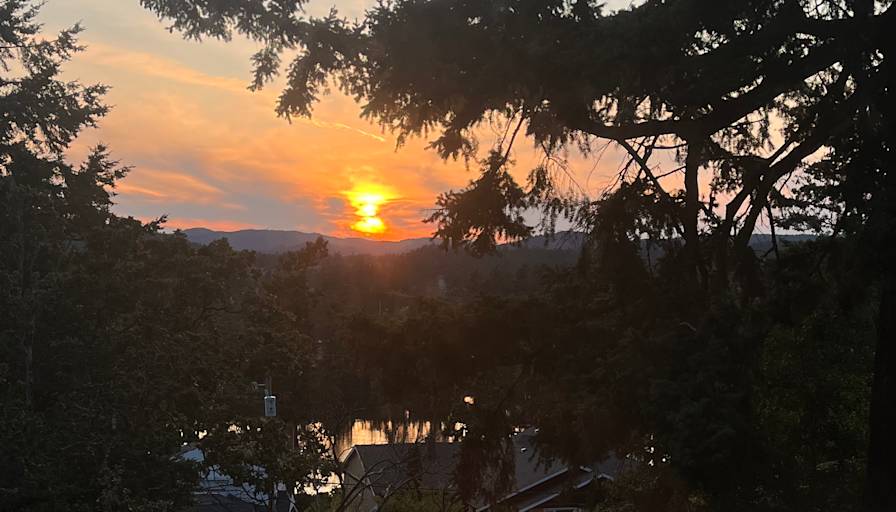 Photo of Colt's room