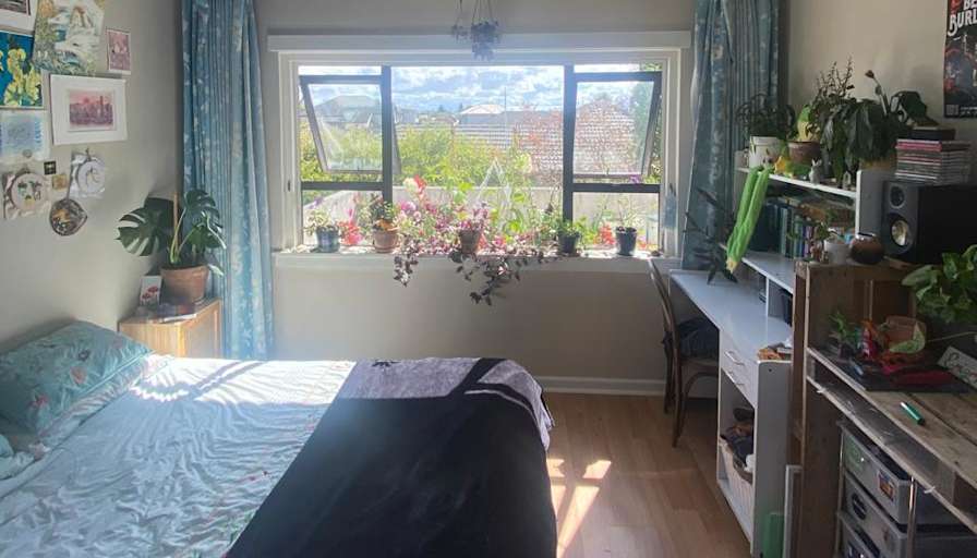 Photo of Alisha's room
