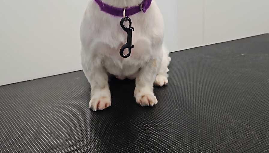 Caleb Thomson's room