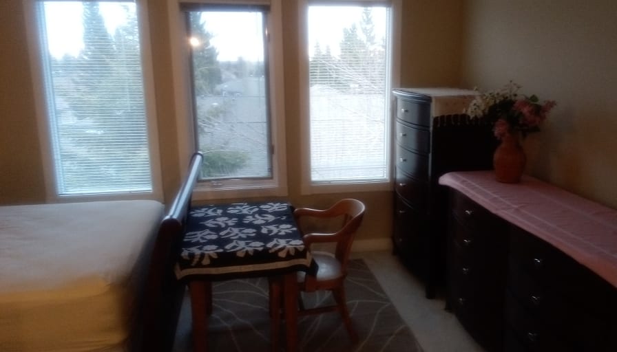 Photo of Semra's room