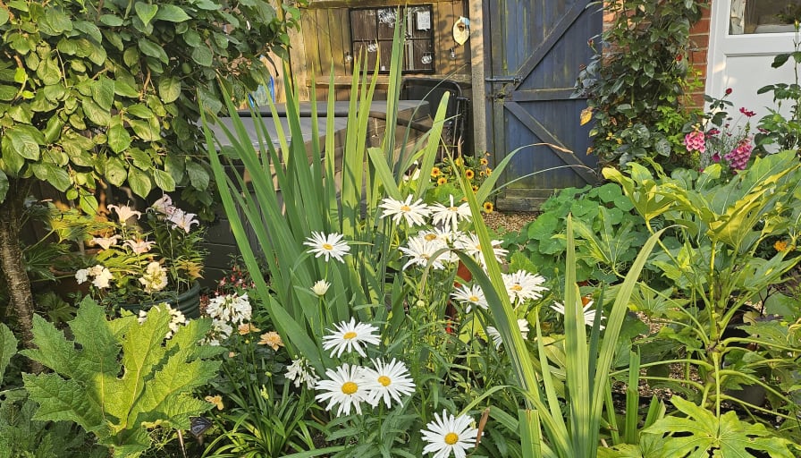 Photo of Janet Ogrady's room