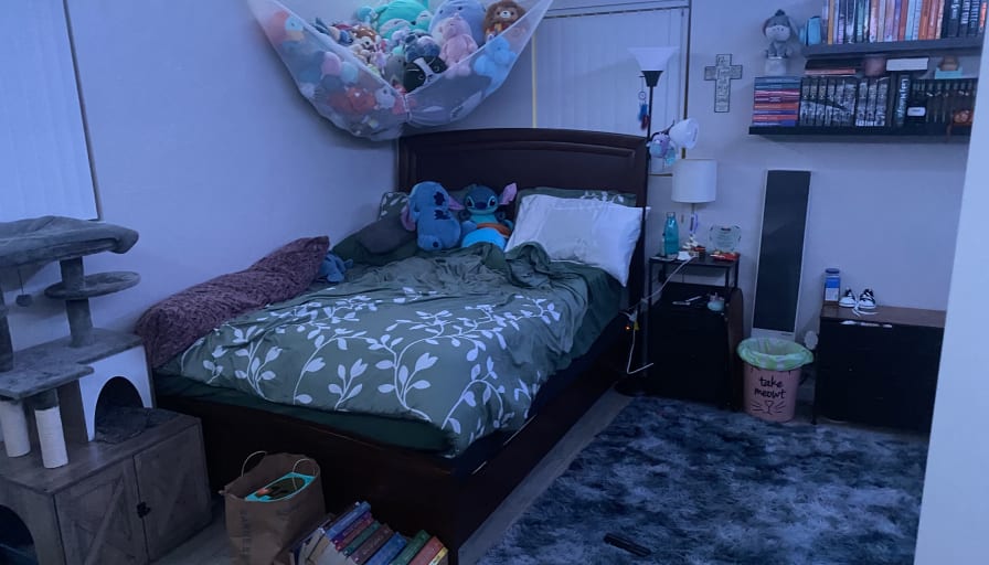 Photo of Jasmine's room