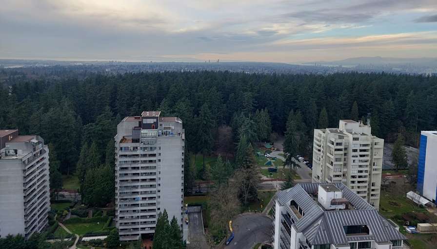 Ledja Halltari's room