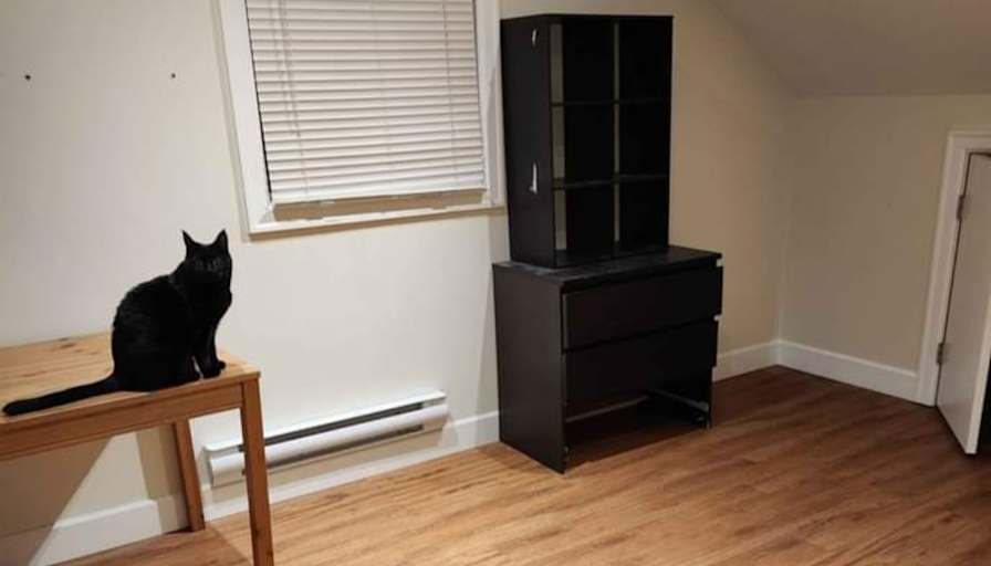 Photo of Adrienne's room