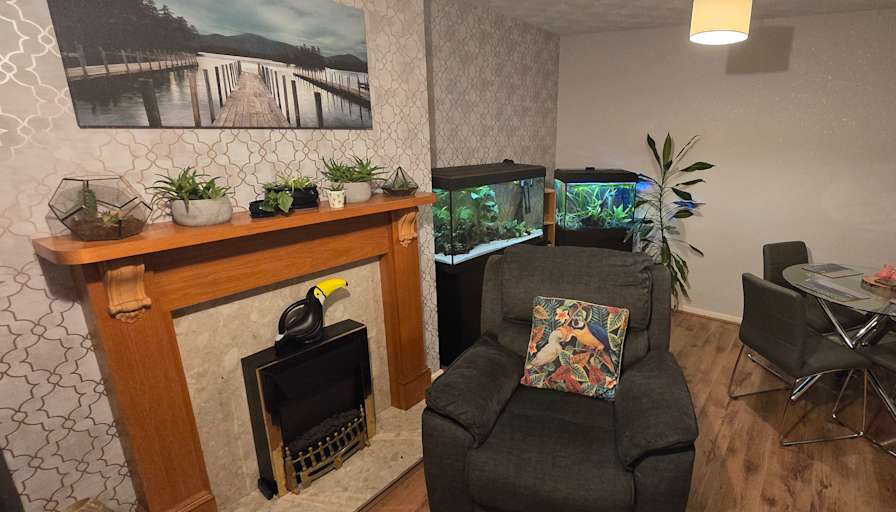 Photo of Mel's room
