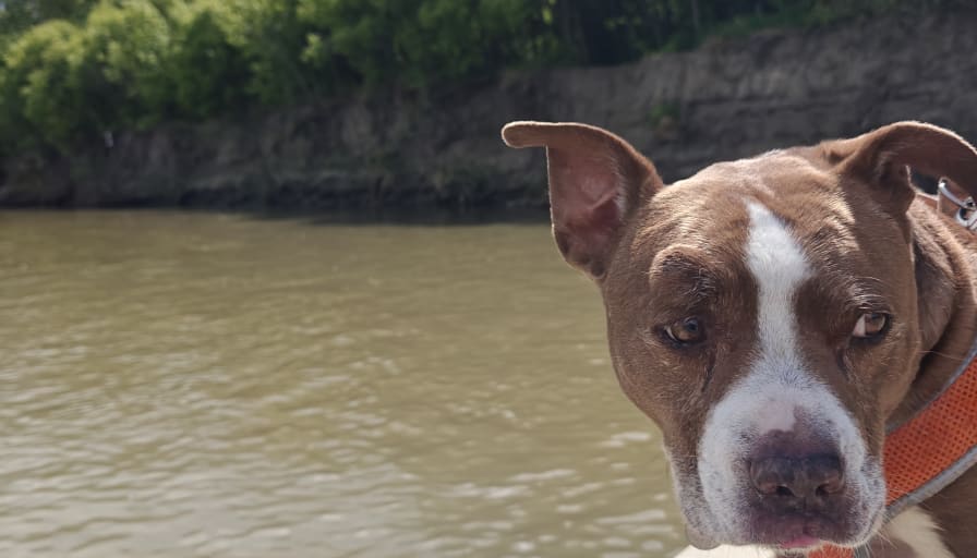 Crystal Degenhardt's room