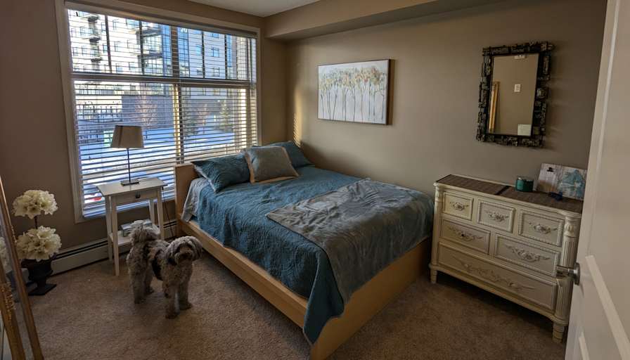 Photo of Tessa's room