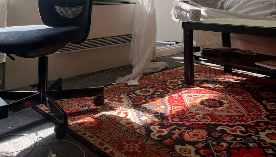 PARASTOO ASADI's room