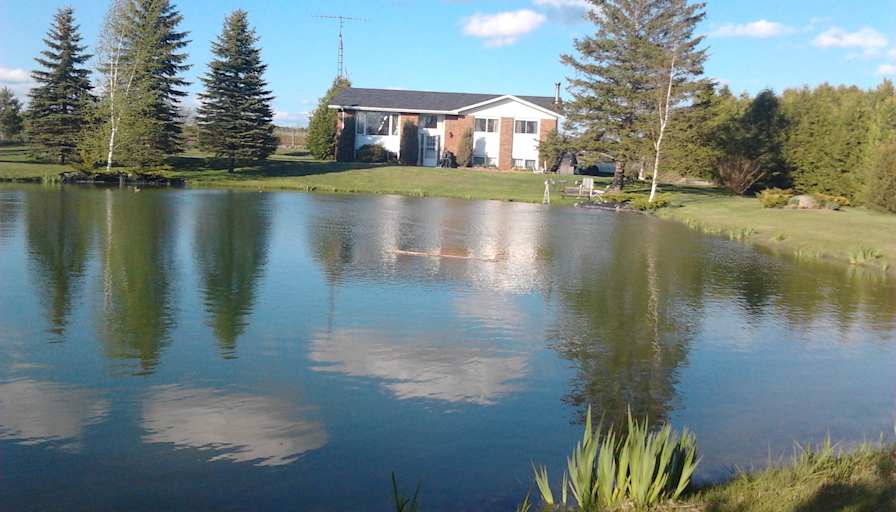 Photo of donna's room