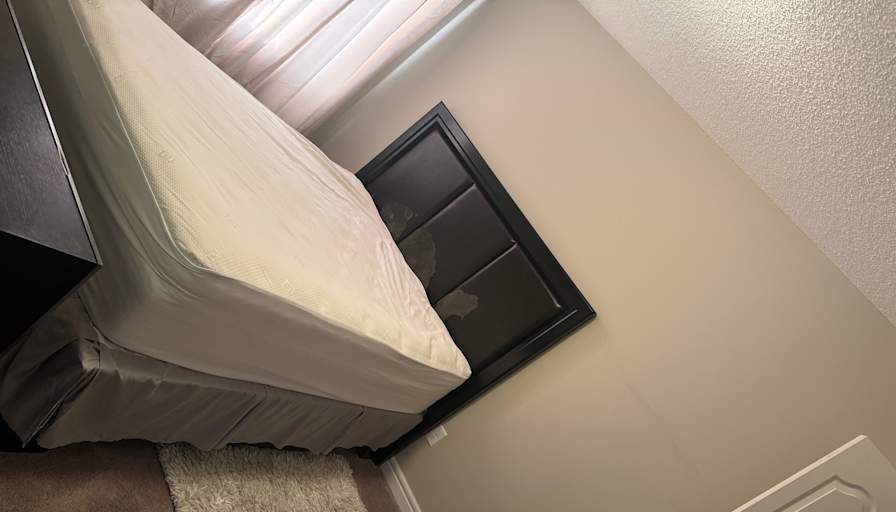 Photo of Clever's room