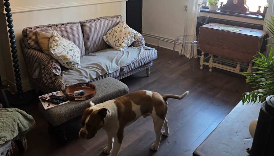 Photo of Kj's room