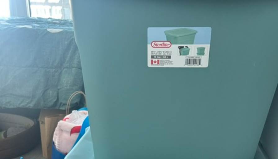 Escemei Wyatt's room