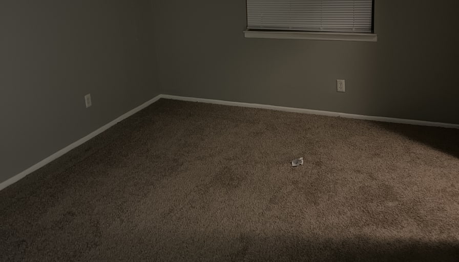Photo of dexter's room