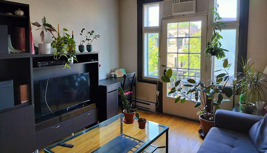 Janna Matoussova's room