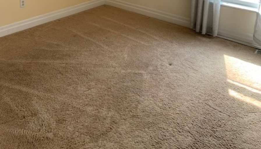 Sandy McDowell's room