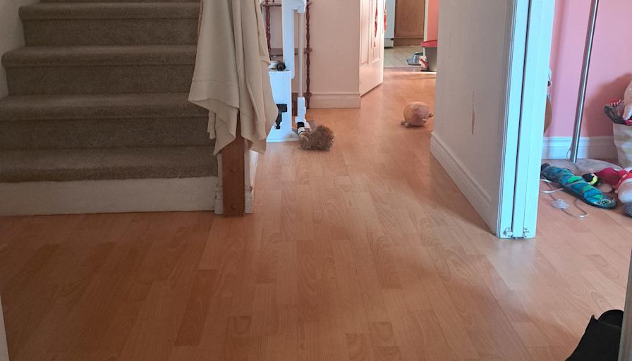 Hanna McDonald's room