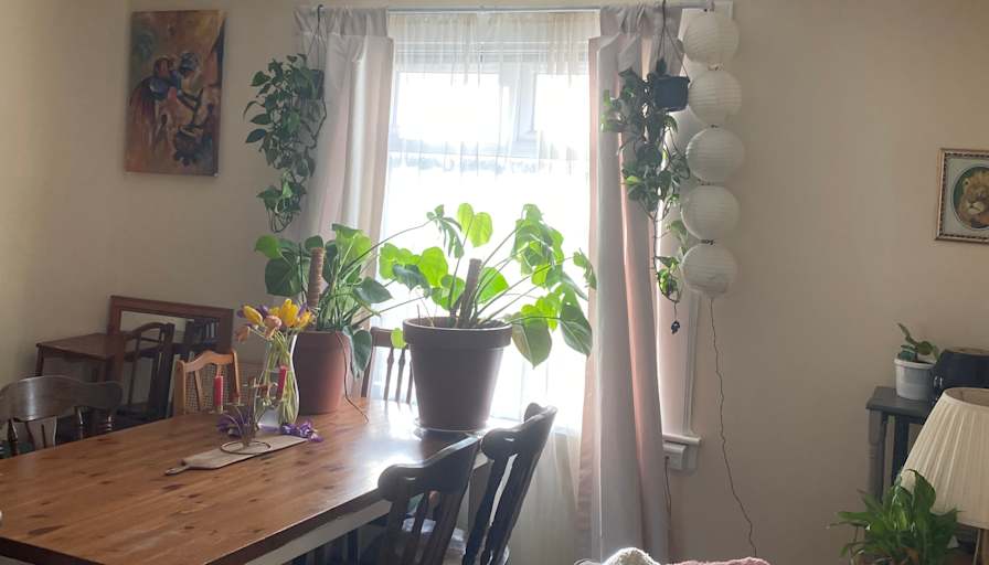 Photo of Polly's room