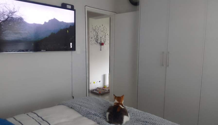 Photo of Debbie Mocke's room