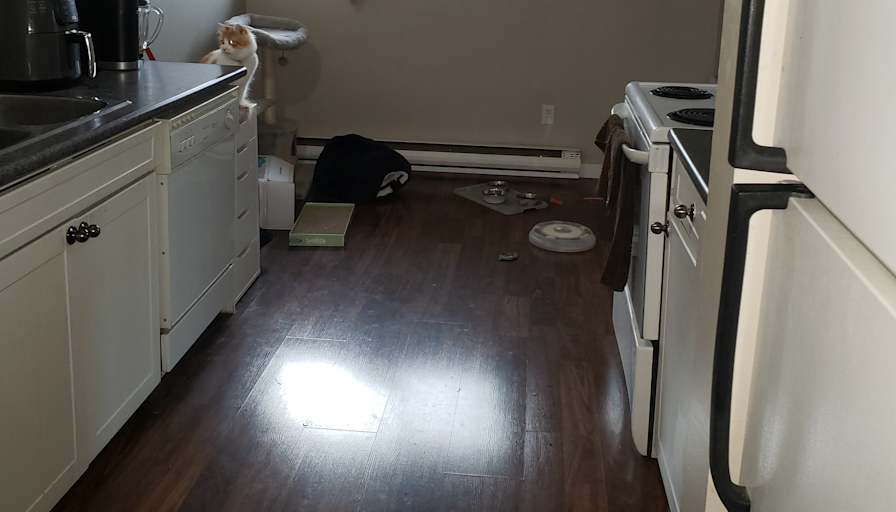 Photo of brody's room