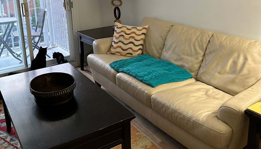 Elaine Fiddes's room