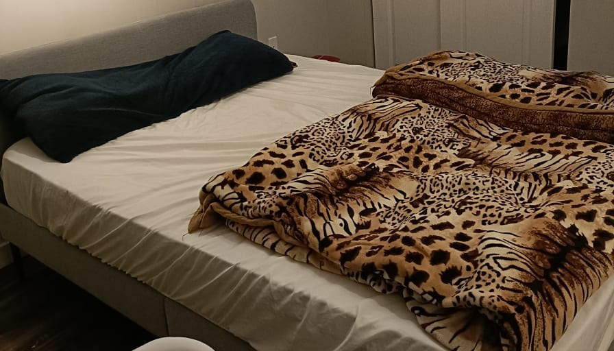 Photo of Khushboo's room