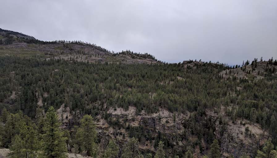 Pamela Thayer's room