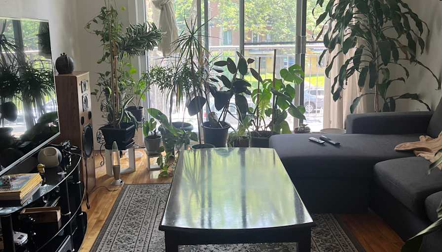 Photo of lawrence's room