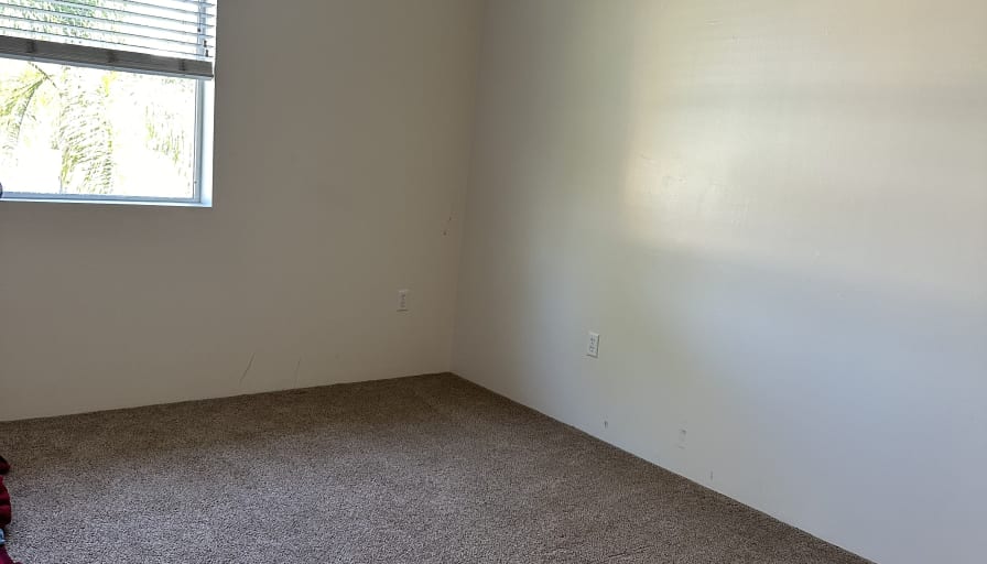 Photo of Samantha's room