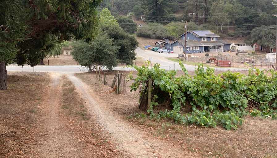 Private room to rent in share house Prunedale, Cali...