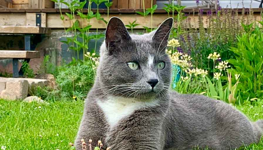 Michelle Stephen's room