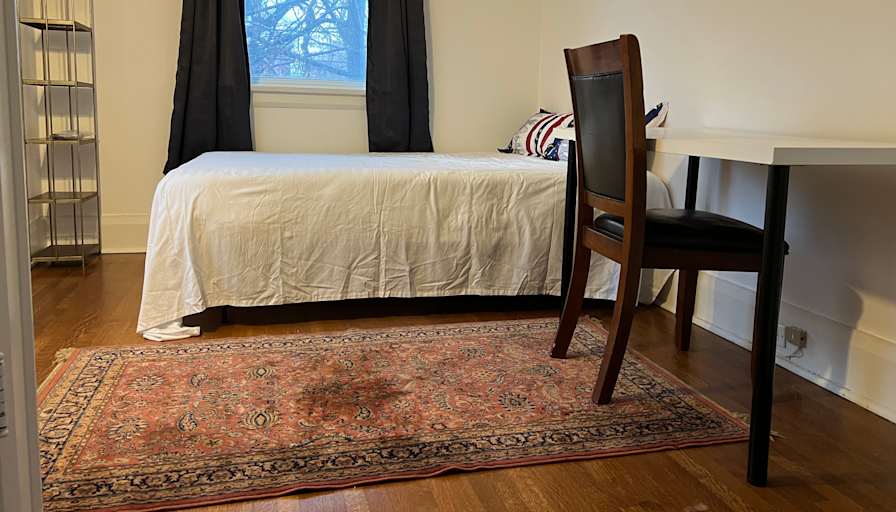 Evelina Suleimanova's room