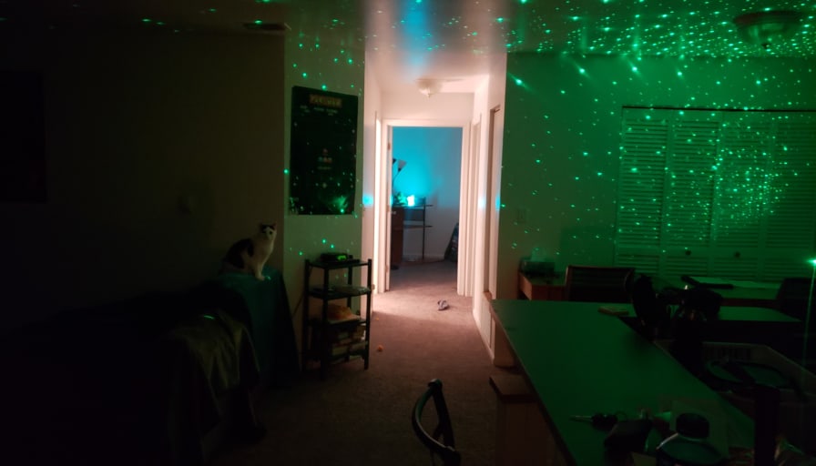 Photo of Tris's room