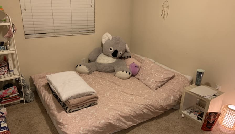 Photo of Kaileyann's room