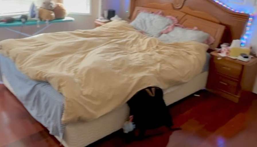 Photo of Darlene's room