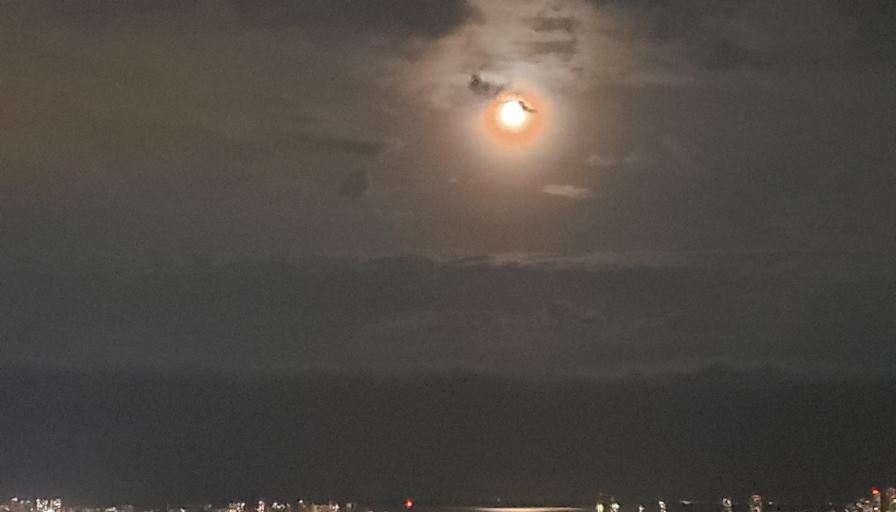 Sherlock Burt Subedar's room