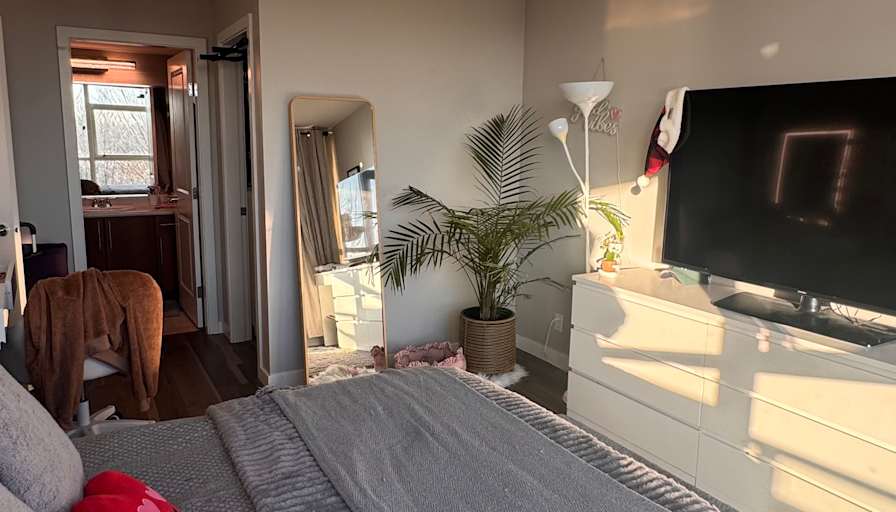 Nicolle Pereira's room