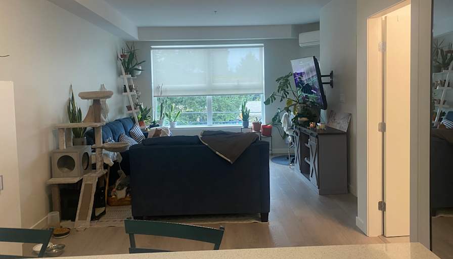 Jessica Chura's room