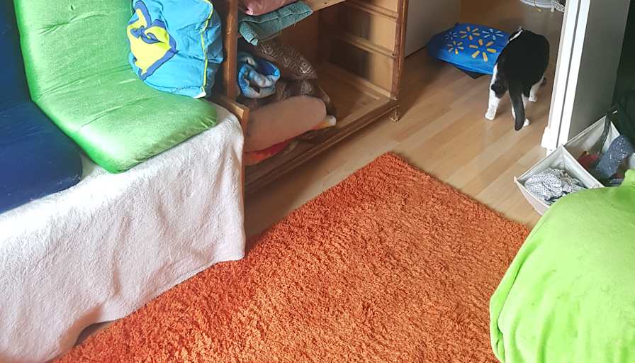 Photo of Victoria's room