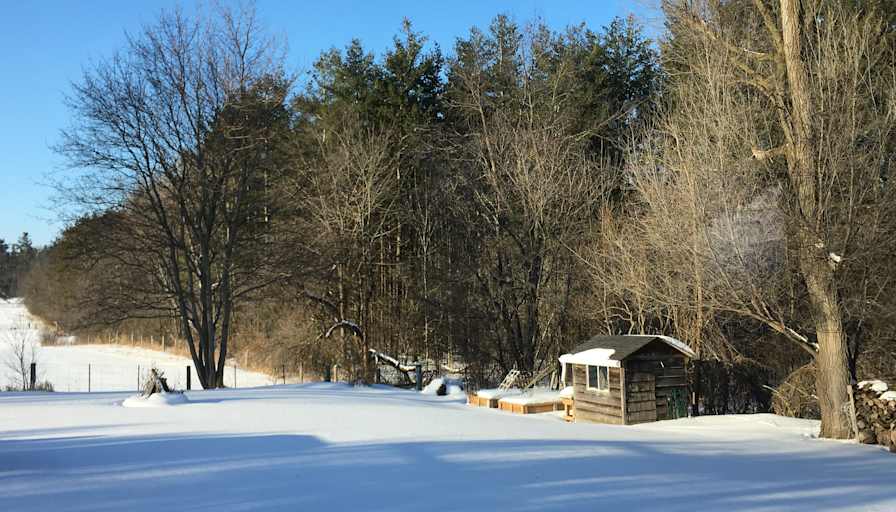 Caledon Suite's room